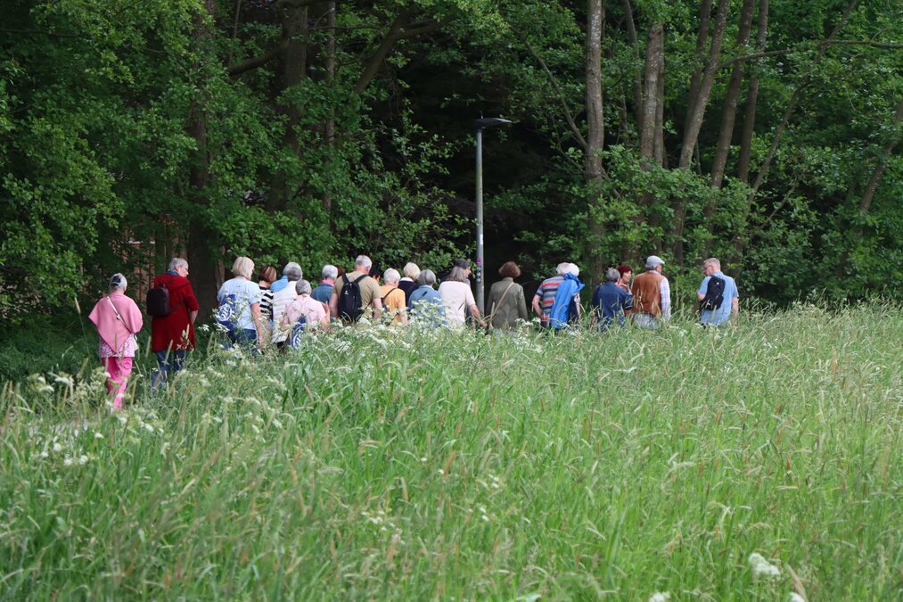 Entspannte Spaziergänge - jeden Dienstag um 14:30 Uhr. Entspannte Spaziergänge - jeden Dienstag um 14:30 Uhr.