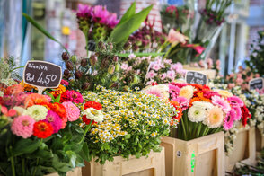 121117967_1053950925064363_1551083227037416552_o